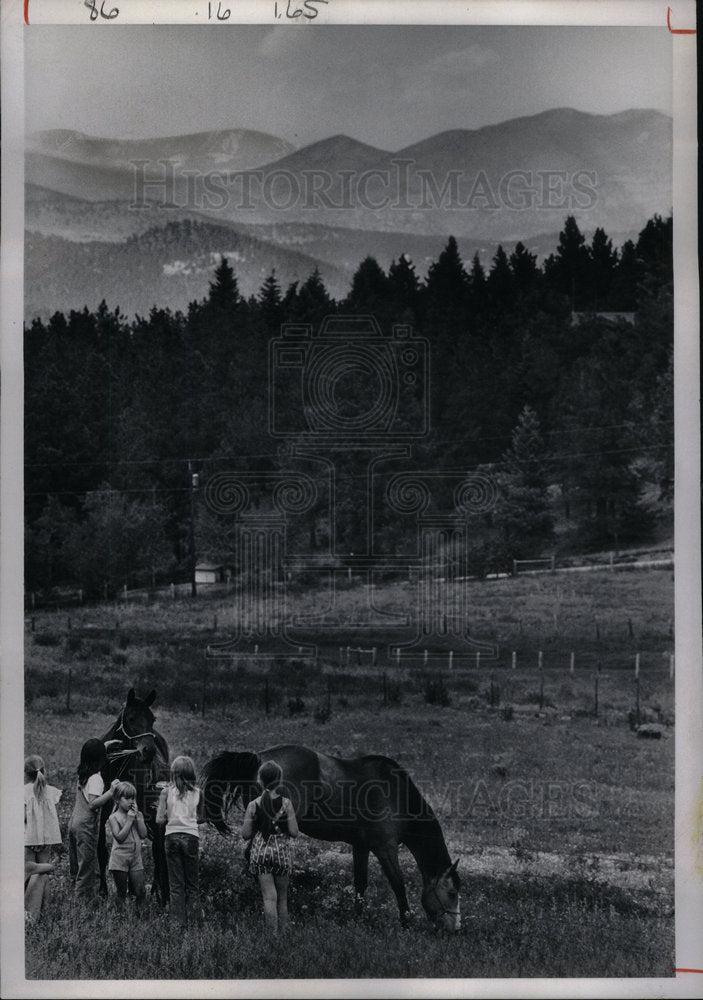 1973 Press Photo Group Of Children Feeding Horses - Historic Images