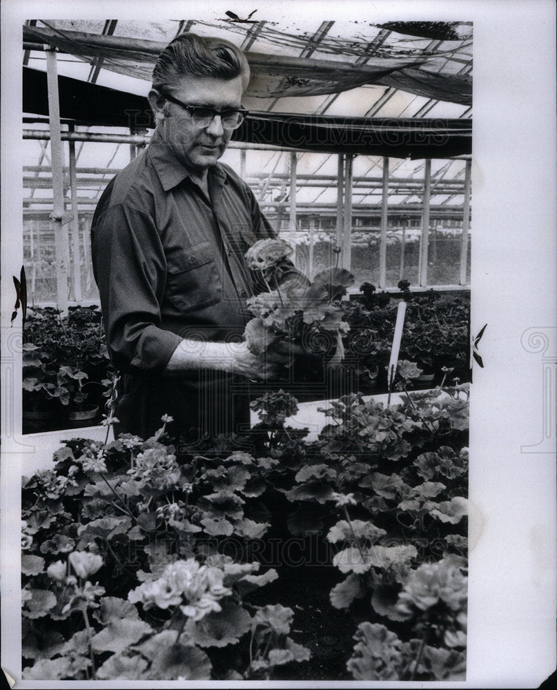 1974 Press Photo Arthur Grimm&#39;s Greenhouse Garden - Historic Images