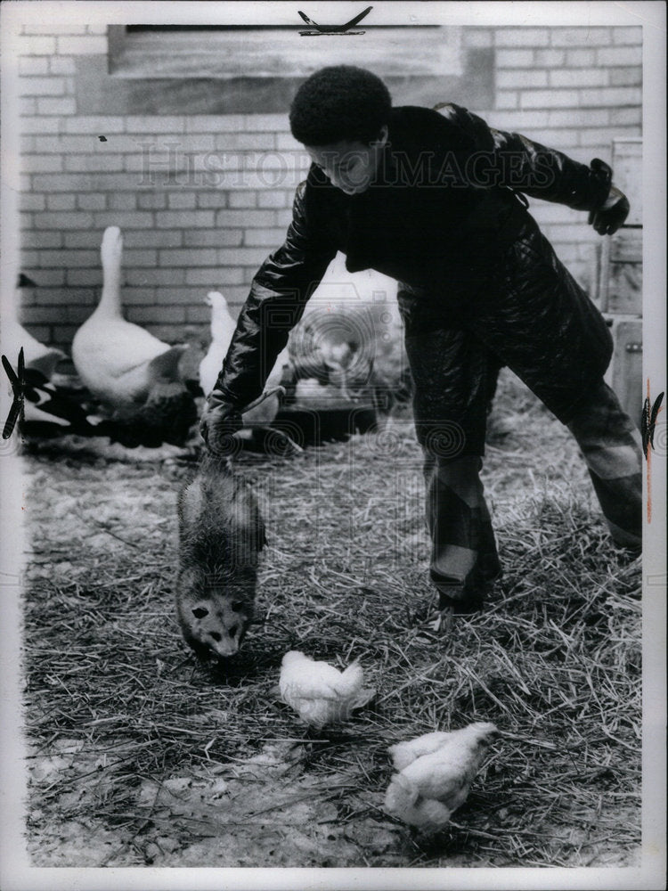 1972 Press Photo Myron Pardon With An Opossum - Historic Images