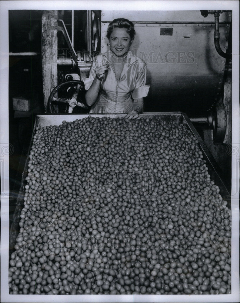 1954 Press Photo Betty Ossola Pres J Ossola Co Chicago - Historic Images