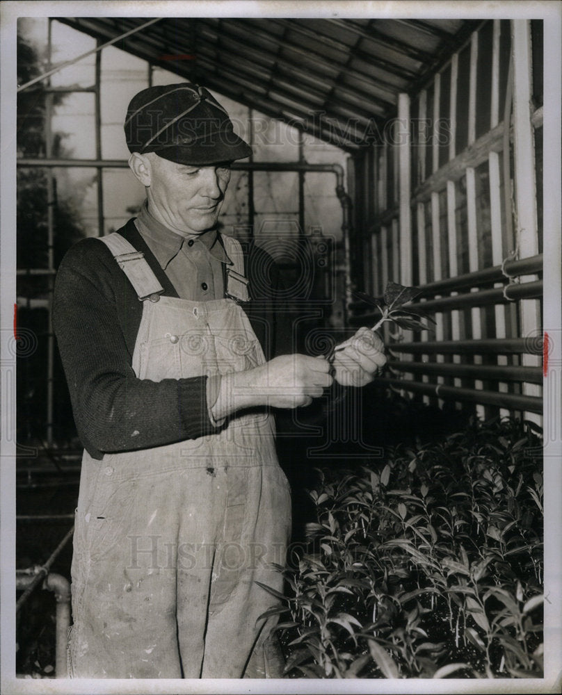 1956 Press Photo Frank Le Fleur Westcroft Gardens - Historic Images