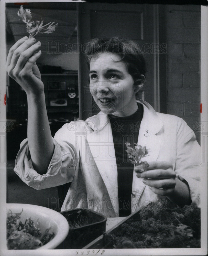 1959 Press Photo Cranbrook Science Institute - Historic Images