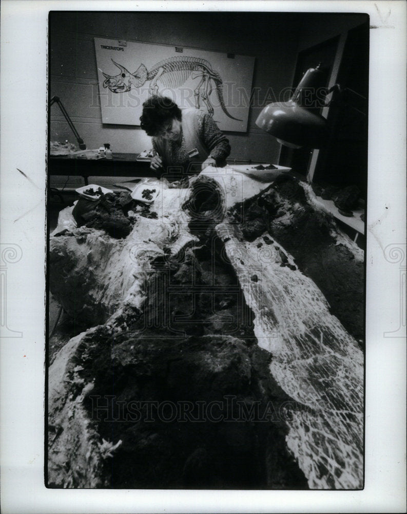 1987 Press Photo Carol De Ford Cranbrook  Institute - Historic Images