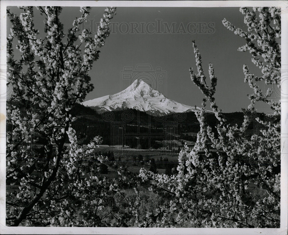 1957 Press Photo Hood River Valley Mount Hood - Historic Images