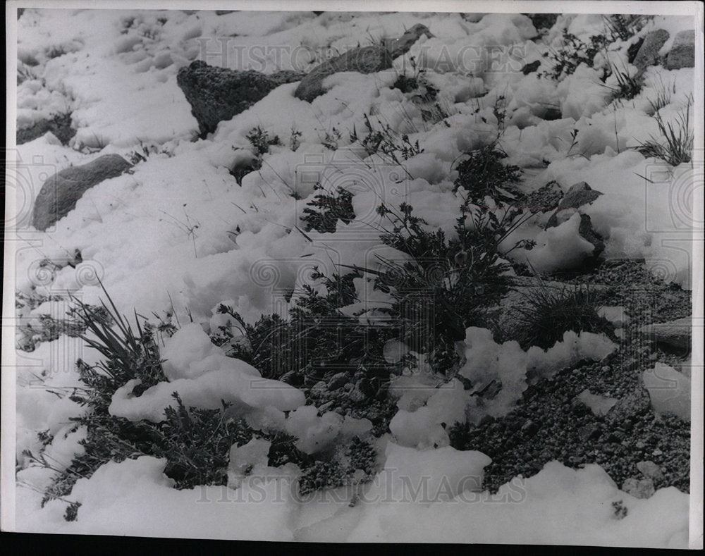 1965 Press Photo Mt. Evans Colorado scene - Historic Images