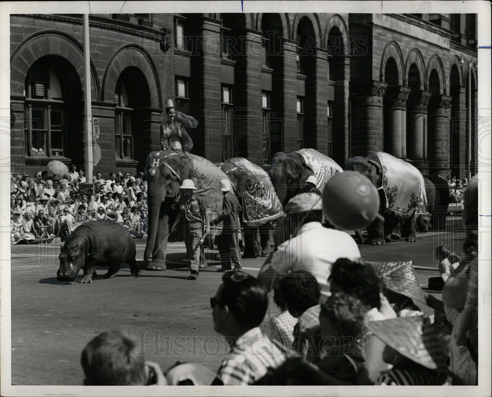 1971 Press Photo Elephants Old Milwaukee Daysparade - Historic Images