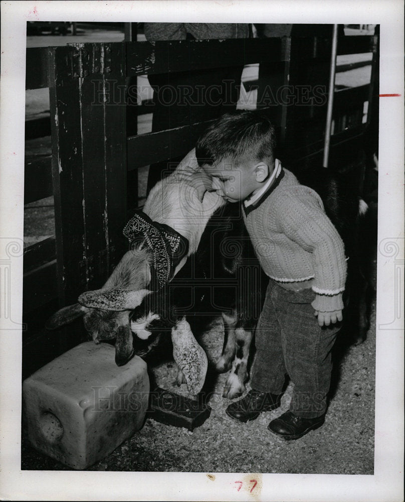 1963 Press Photo Jetts&#39; Petting Zoo Bradenton Florida - Historic Images