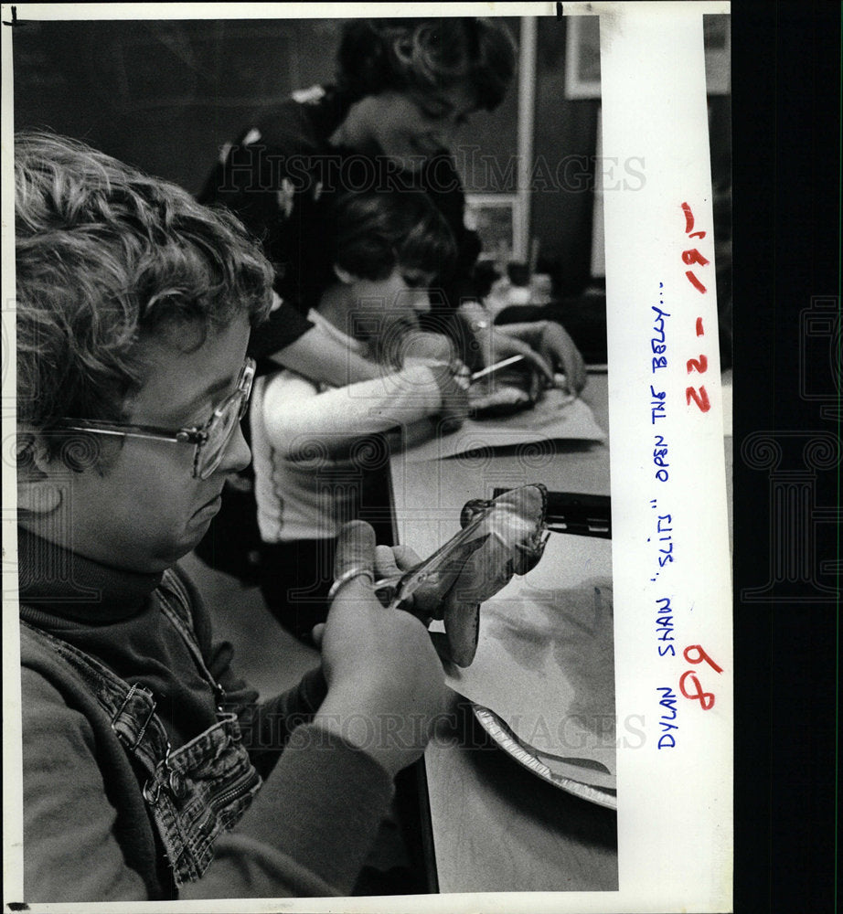 1980 Press Photo Plumb Elementary School Florida - Historic Images