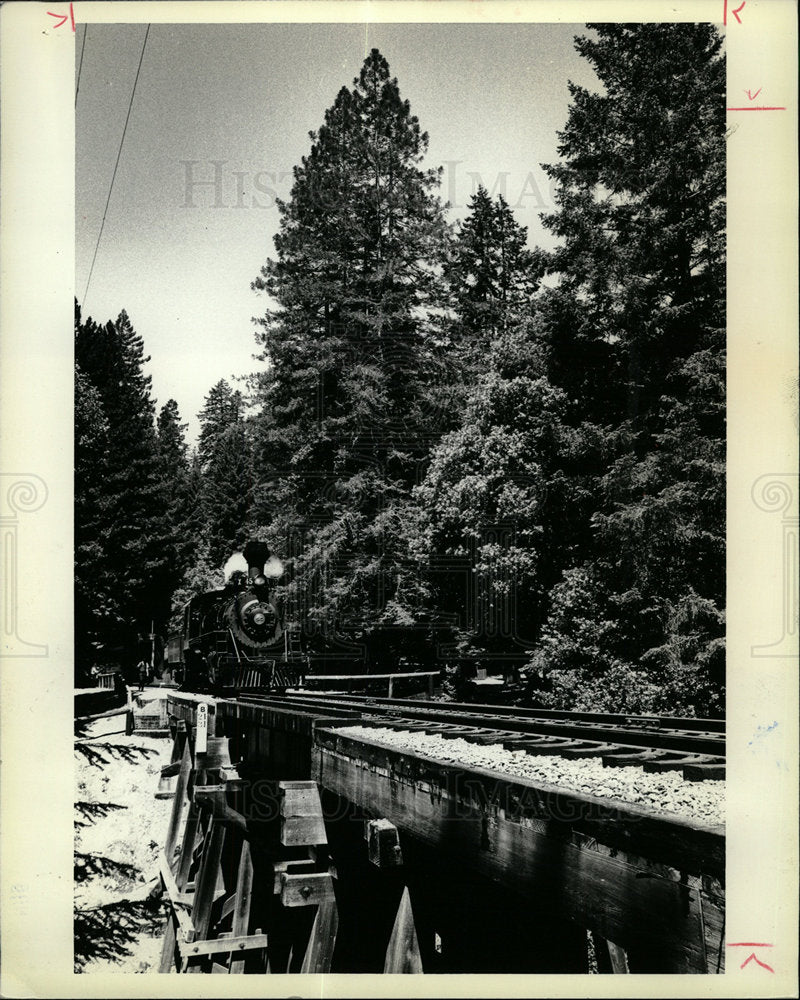 1981 Press Photo A Super Skunk Locomotive - Historic Images