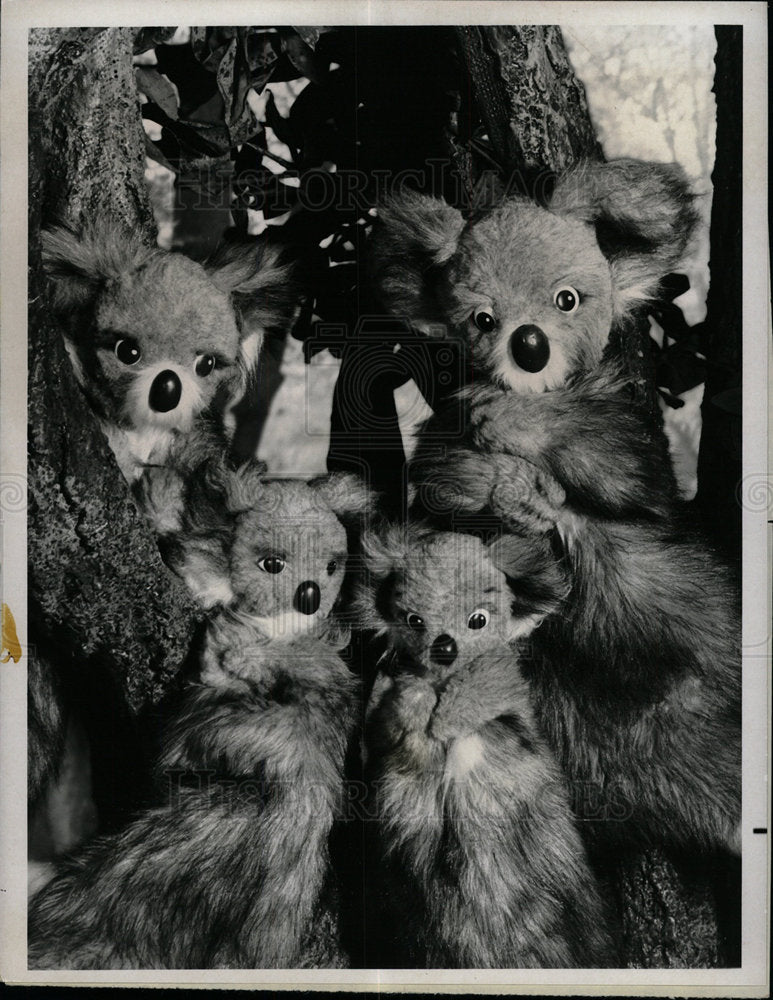 1972 Press Photo Ritts Puppets Program Watch Child Show - Historic Images