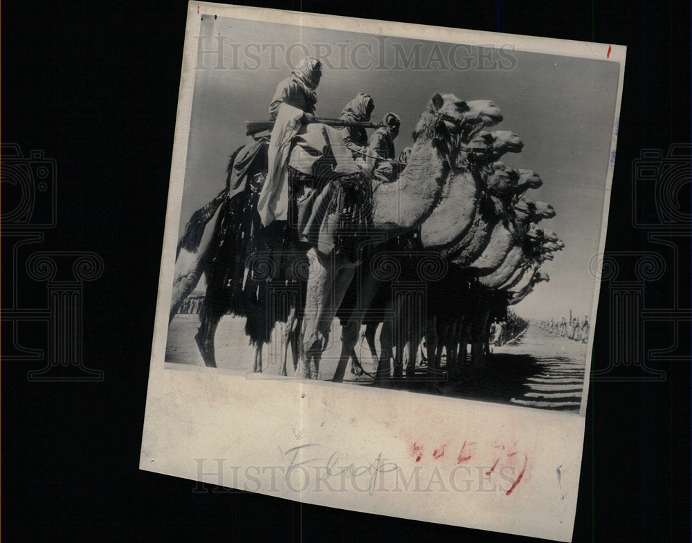 1953 Press Photo Amman Cowboys Arab world Camel corps - Historic Images