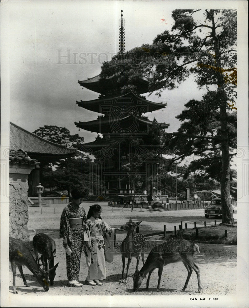 1977 Press Photo Nara Japanese Capital - Historic Images