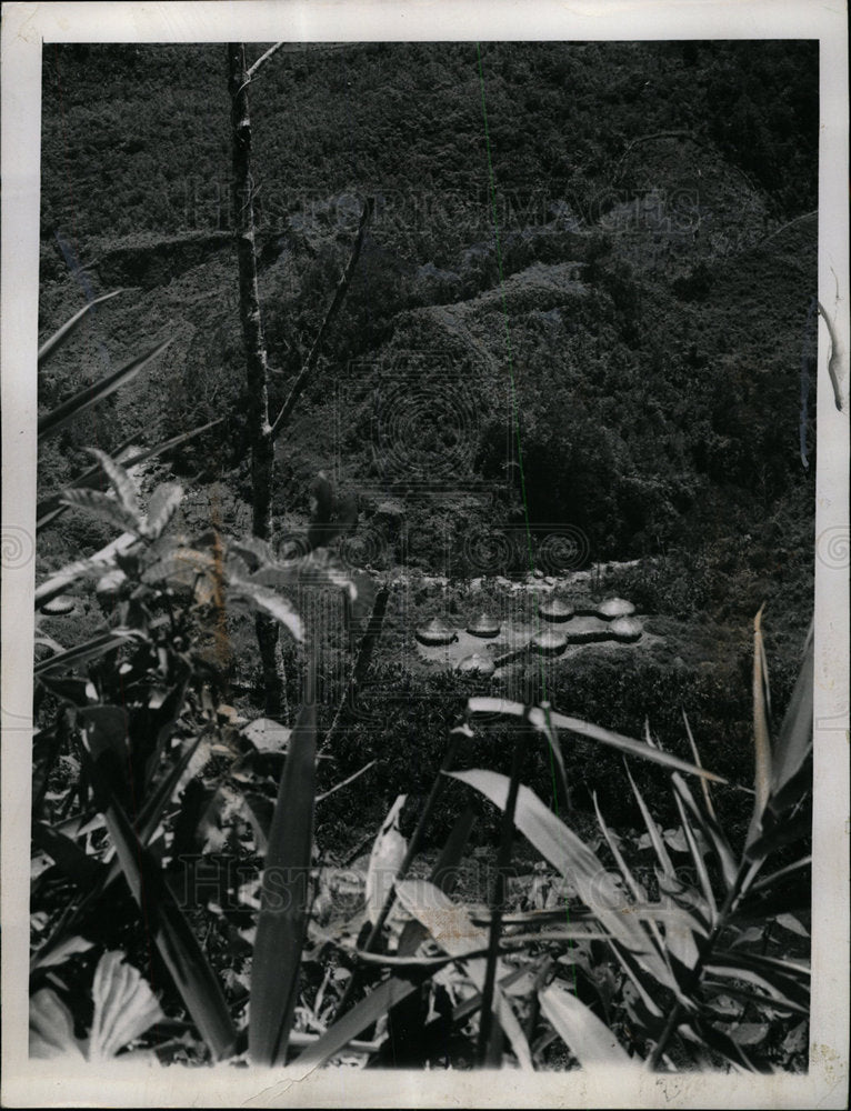 1961 Press Photo West New Guinea Baliem Valley Village - Historic Images