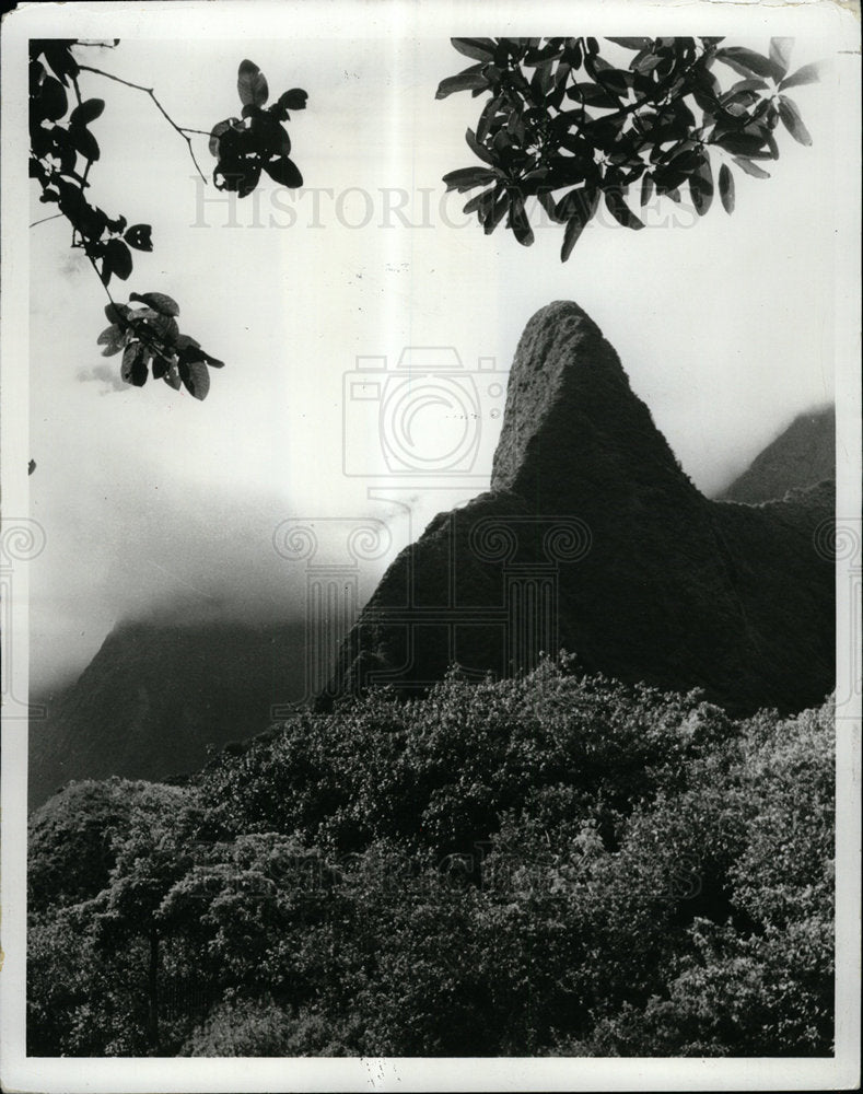 1982 Press Photo Hawaii Maui Island Nature Needle - Historic Images