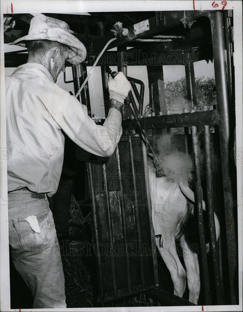 Cow Bit Cow Bits