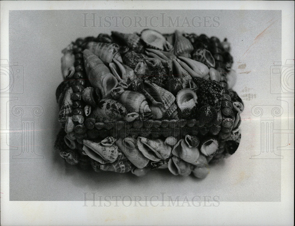 1975 Press Photo Shells Collection Mirror antique jewel - Historic Images