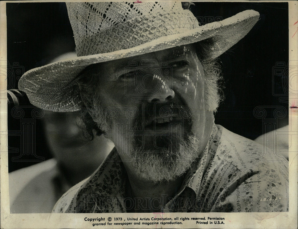 1973 Press Photo Robert Altman American Film Director - Historic Images