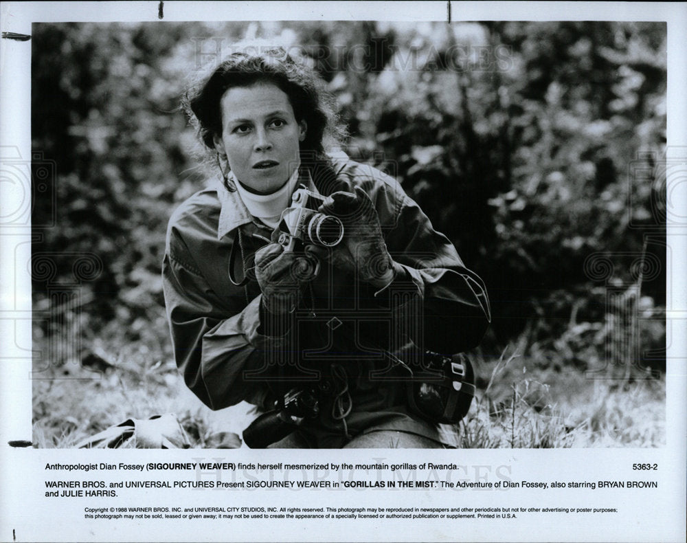 1988 Press Photo Anthropologist Dian Fossey Sigourney - Historic Images