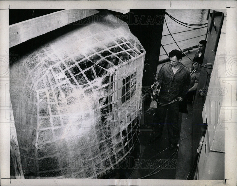 1946 Press Photo U.S. Naval Vessel Savannah Cruiser - Historic Images