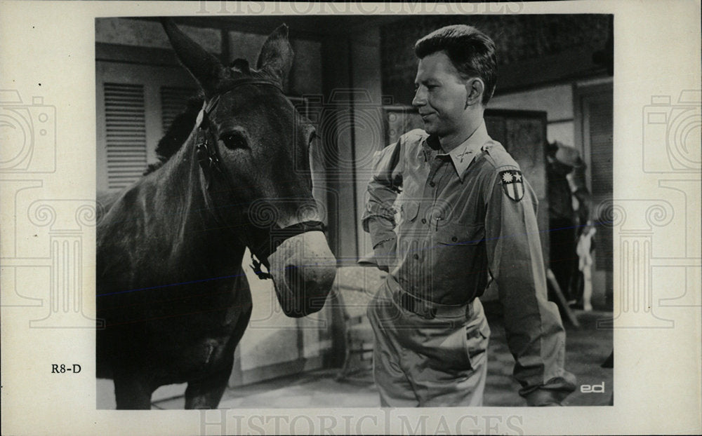 1965 Press Photo Donald OConnor Francis scene Mule Film - Historic Images