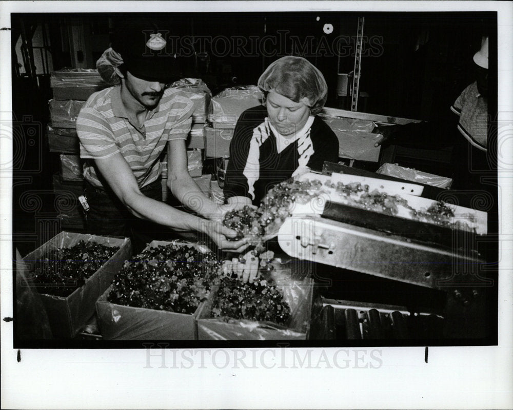 1990 Press Photo Jorge Soto Paradise fruit Plant City - Historic Images