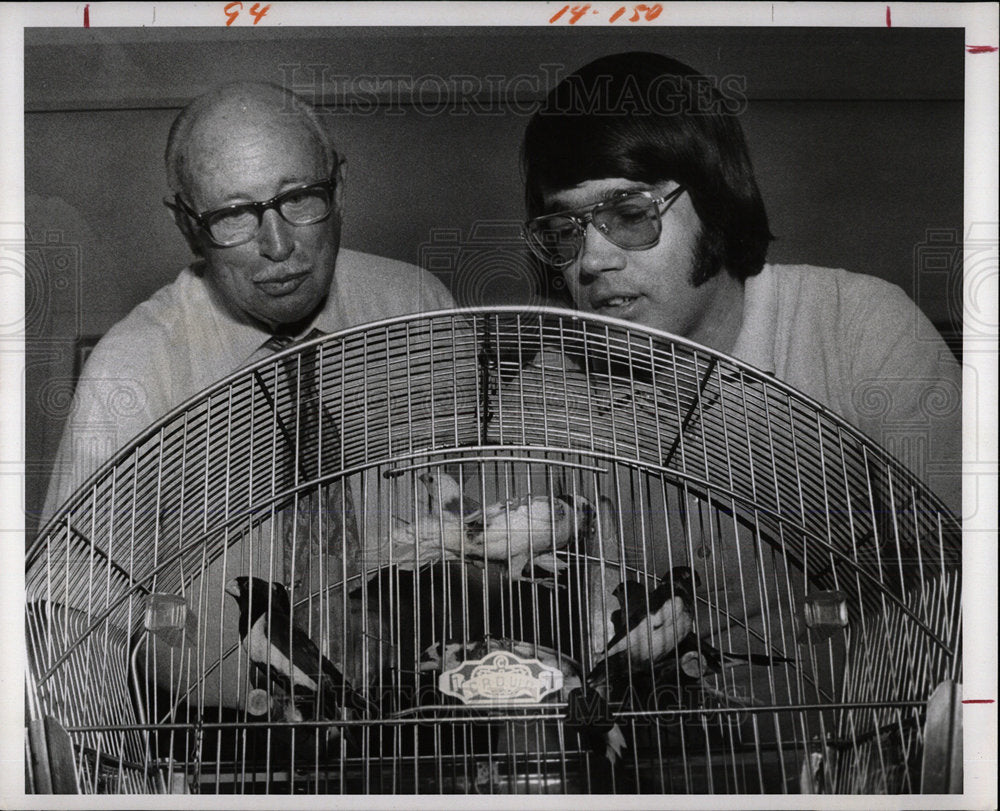 1974 Press Photo Parakeet pet Breeders Birds Food - Historic Images