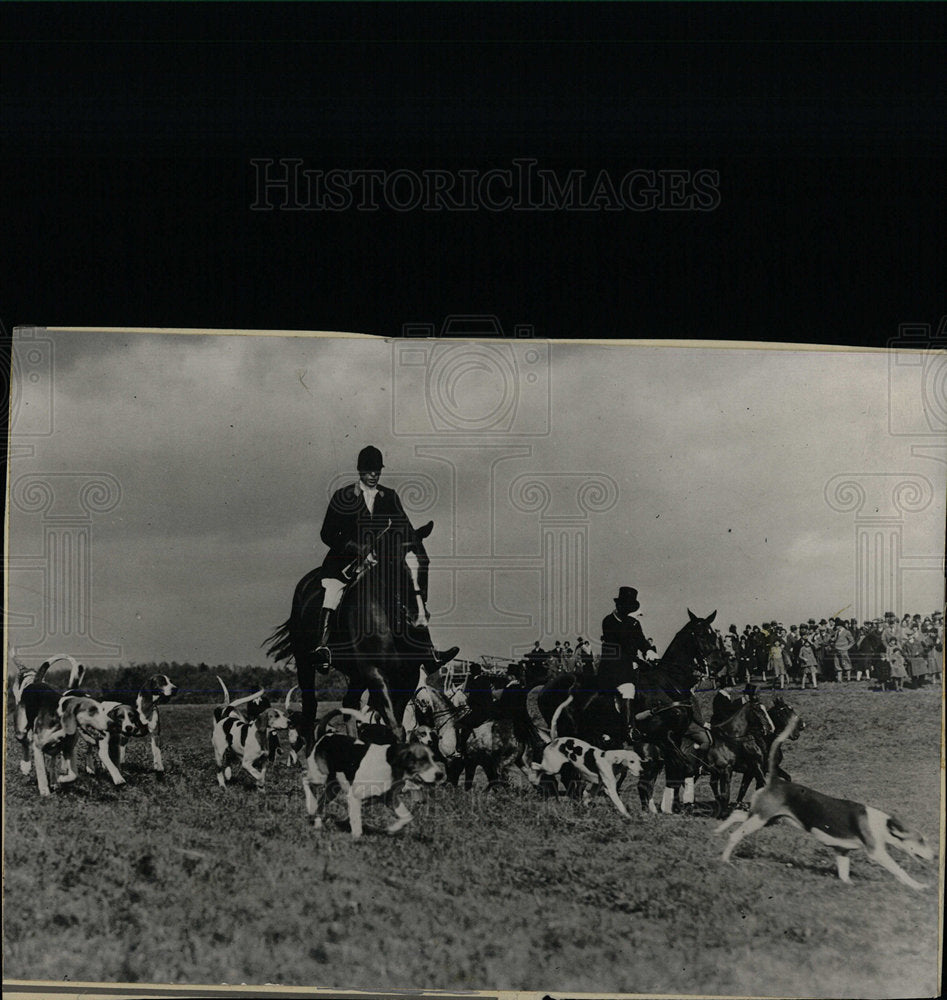 Press Photo Hunting men horses dogs people watching - Historic Images