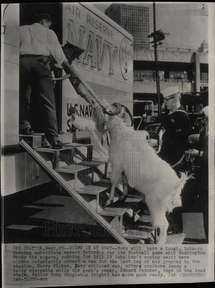 1960 Press Photo Navy Mascot Goat Sandy the Angora - Historic Images