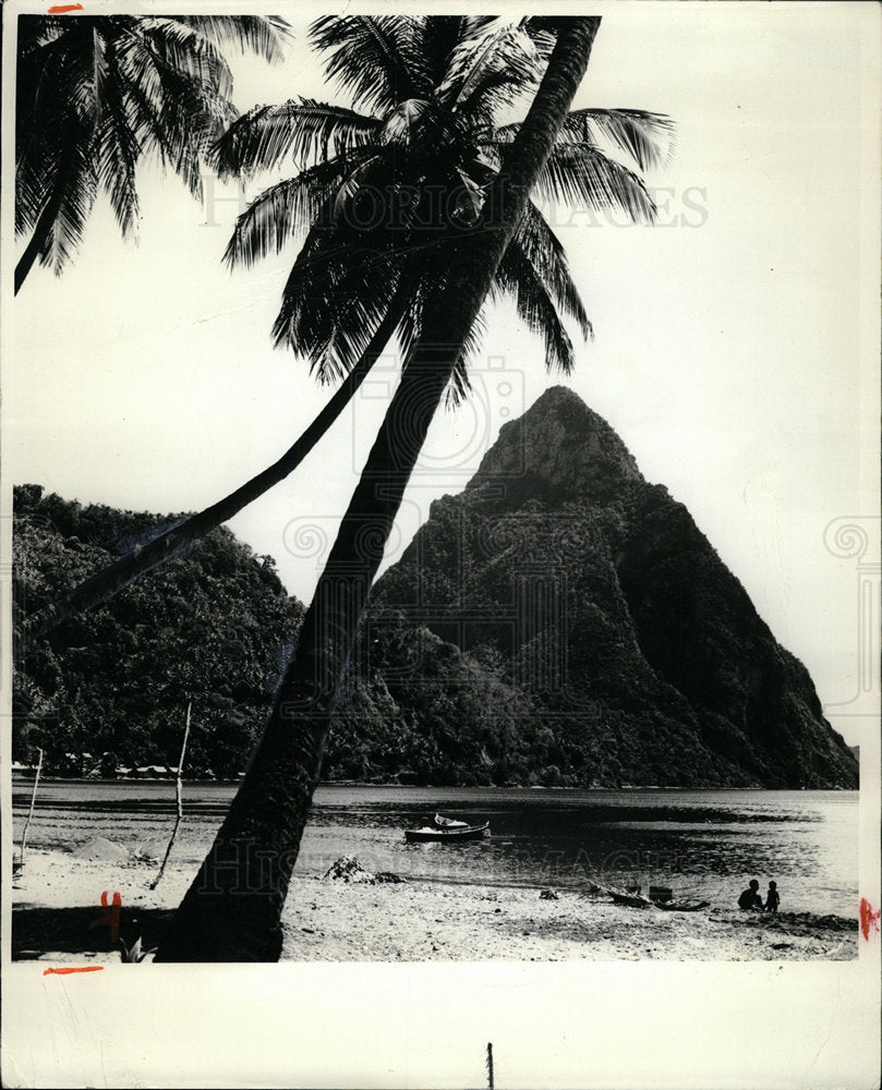 1983 Press Photo St Lucia Island Beach Ocean Palm Tree - Historic Images