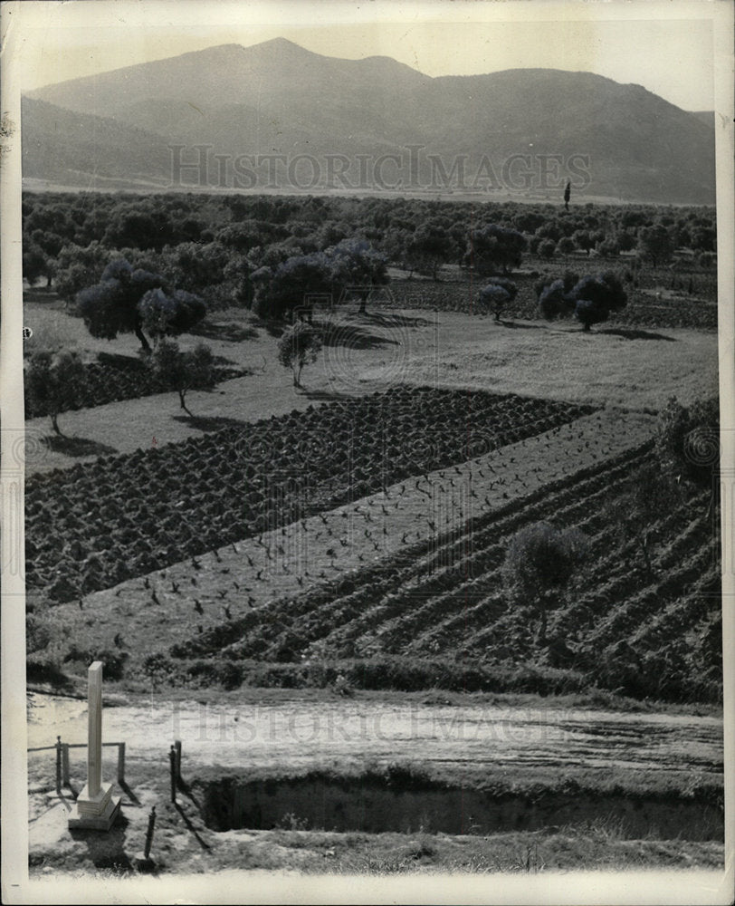 1938 Press Photo Agricultural Field Greece - Historic Images