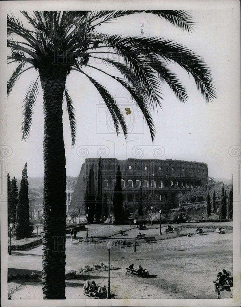 1958 Press Photo Palm Tree Garden Colle Oppio Colosseum - Historic Images