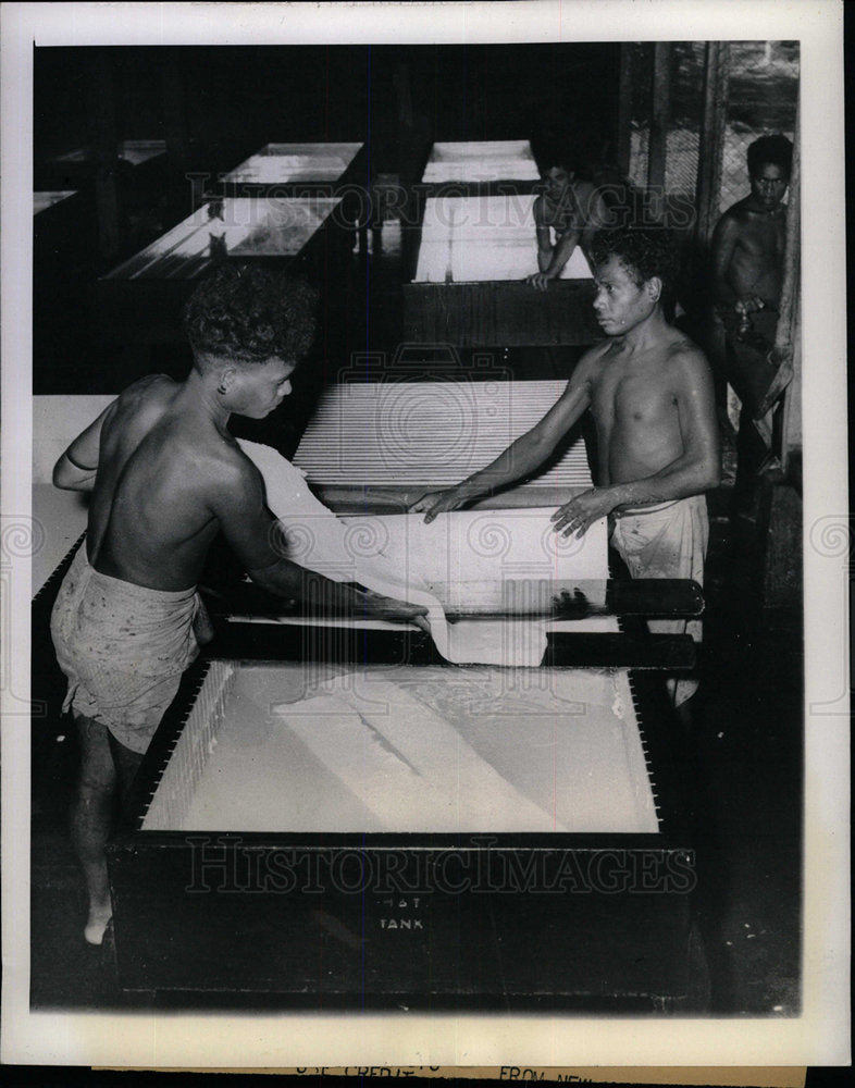 1944 Press Photo Rubber Production/New Guinea/Australia - Historic Images