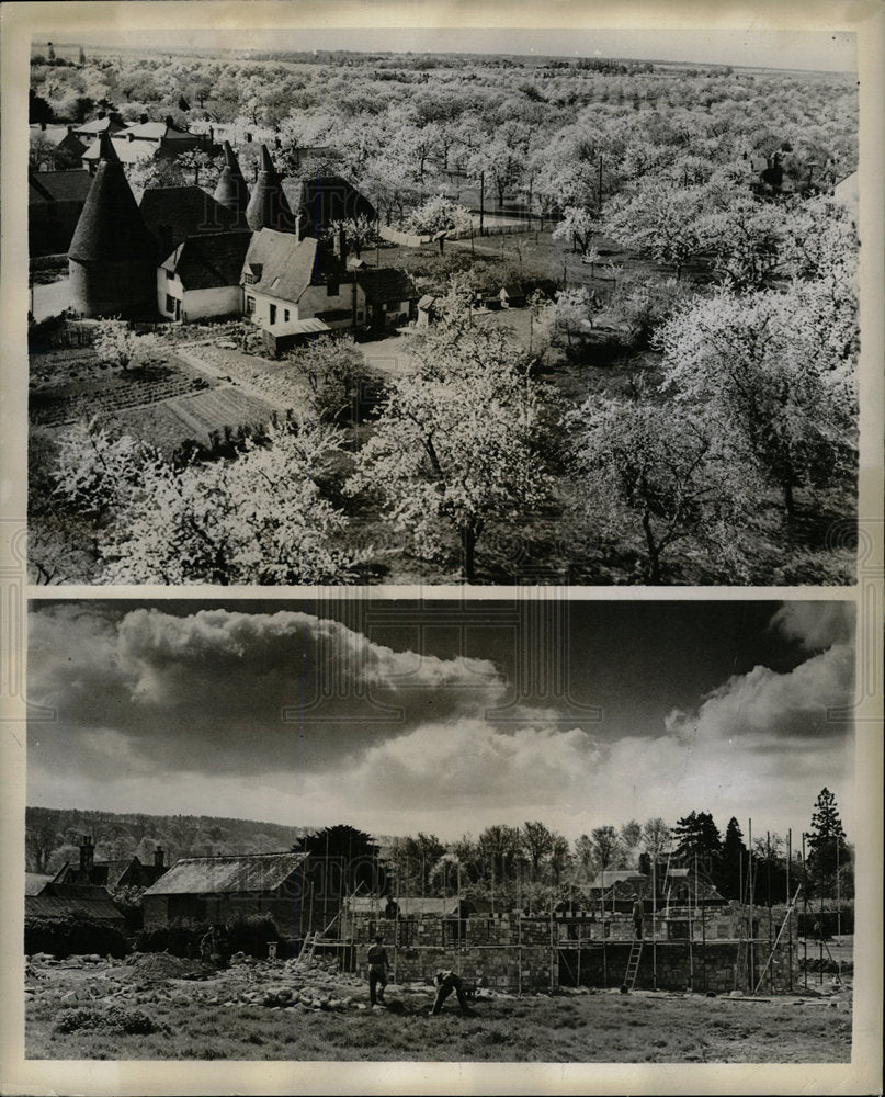 1969 Press Photo Trees blossom spring England ancient - Historic Images