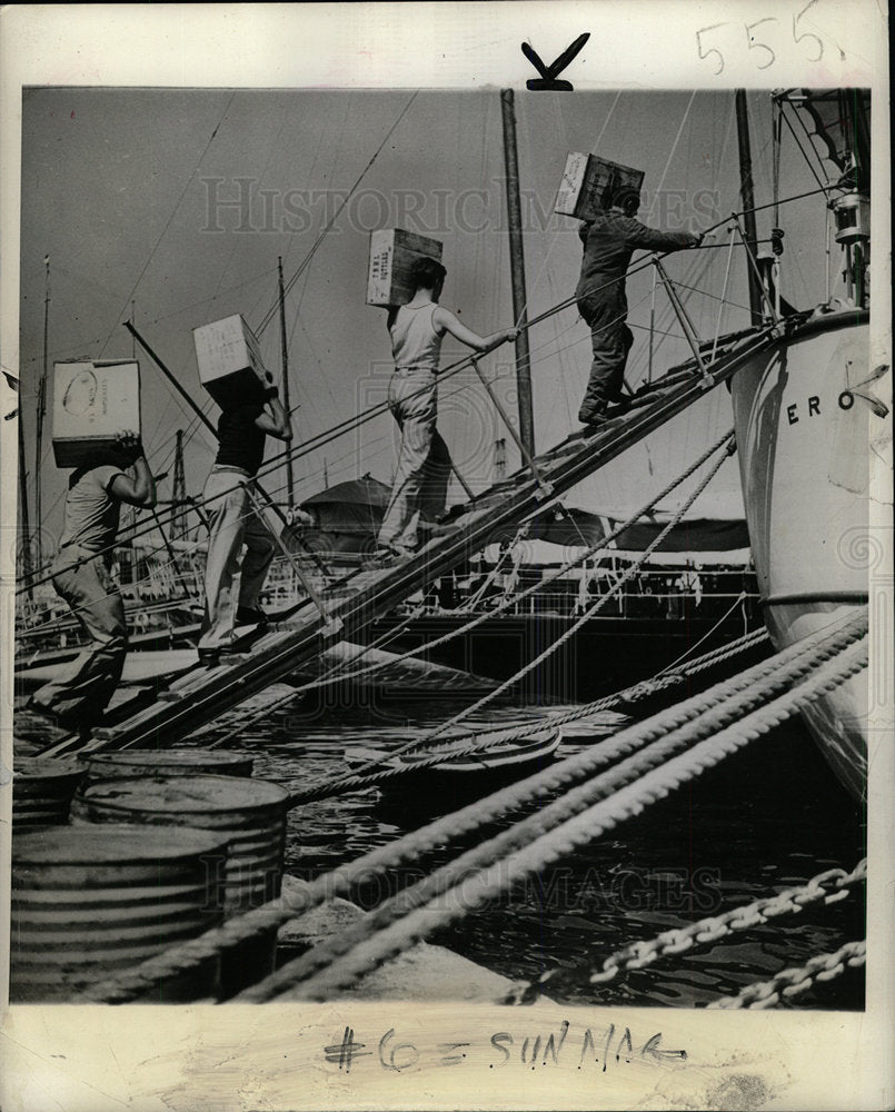 1939 Press Photo  French soil Mediterranean transport - Historic Images