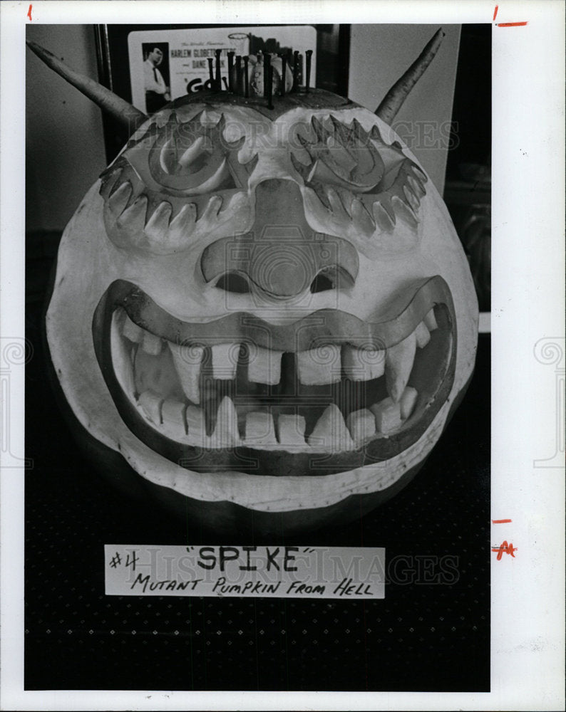 1991 Press Photo Spike Pumpkin Contest Champions Bar - Historic Images