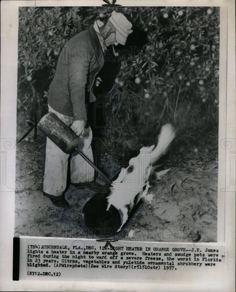 1957 Press Photo J E Jones Orange Grove Farmer Chicago - Historic Images