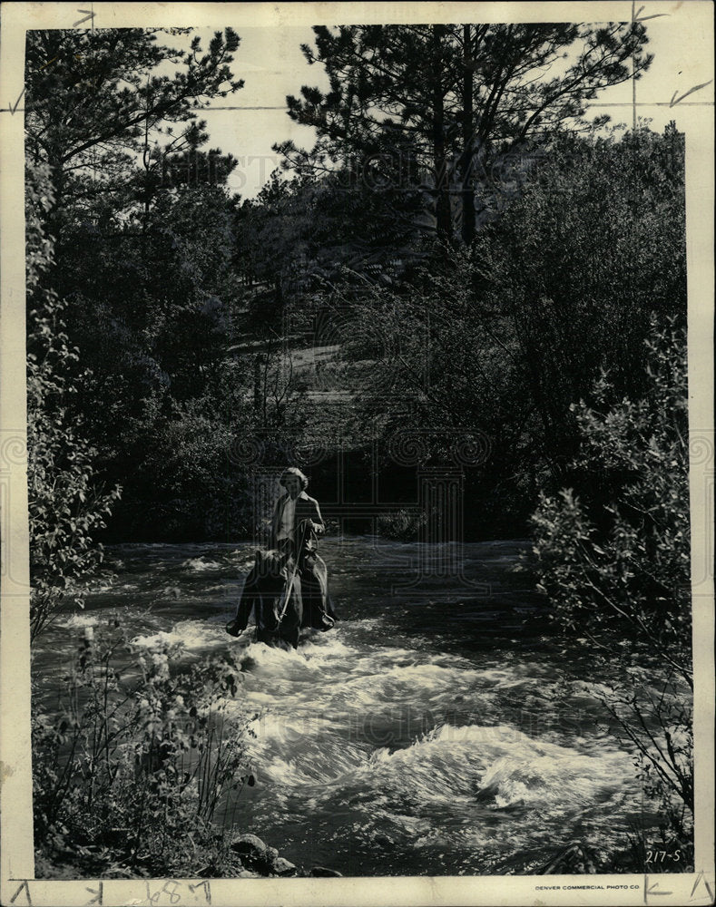 1938 Press Photo Colorado Rockies Flowers Follage - Historic Images