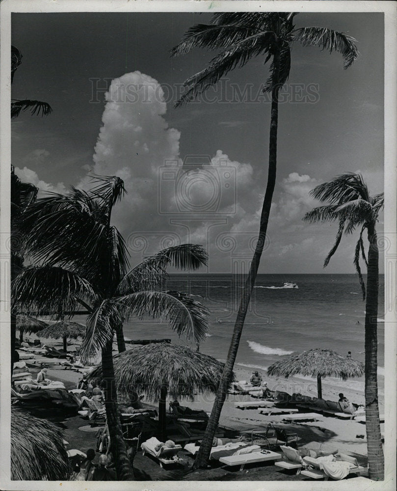 1982 Press Photo Seo Sand Pleseant Sonibel Island - Historic Images