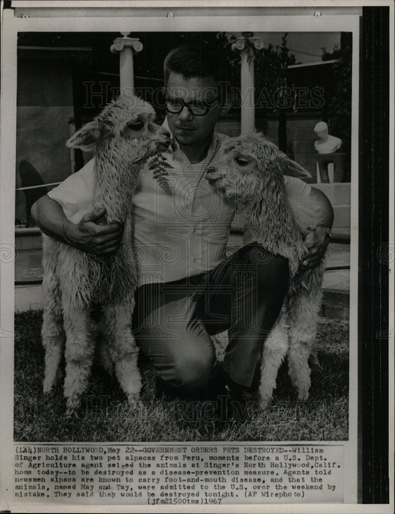 1967 Press Photo William Singer U S Agriculture Agent - Historic Images