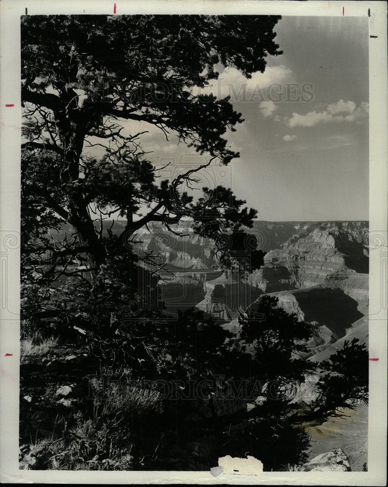 1994 Press Photo Grand Canyon National Park - Historic Images