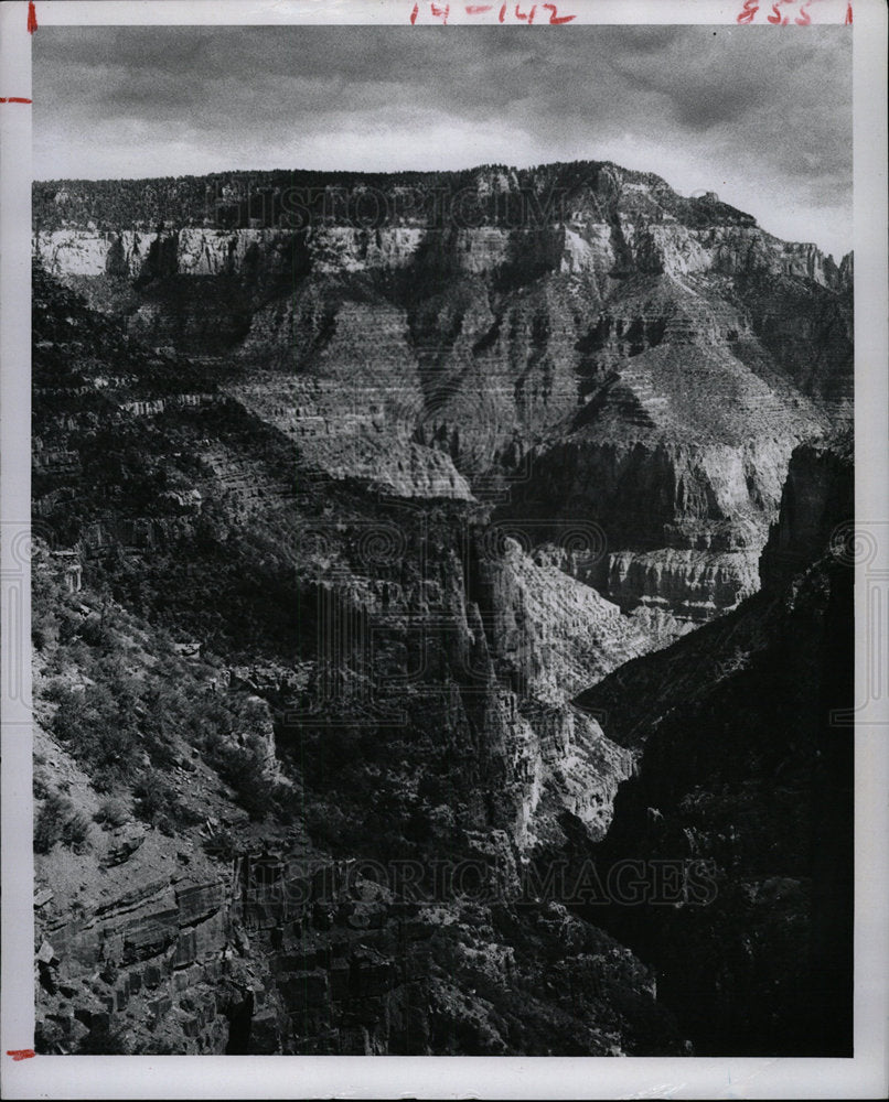 1983 Press Photo Grand Canyon North Rim Arizona - Historic Images