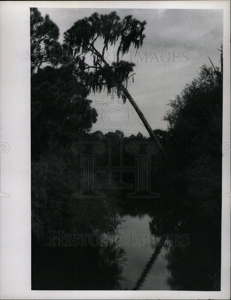 1970 Press Photo Oscar Scherer State Park - Historic Images