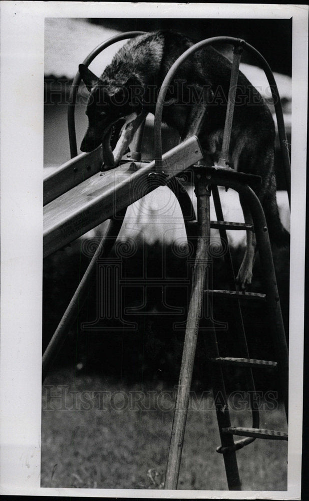 1978 Press Photo Clearwater Police Department Chicago - Historic Images