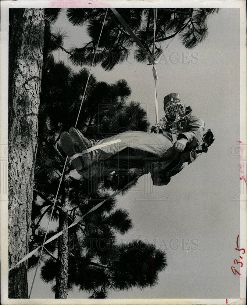 Press Photo Practice Pine Tree Military Training Mich - Historic Images