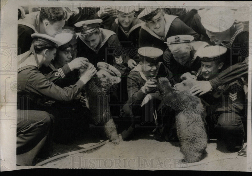 1956 Press Photo Brown Bear Cadets Regent Zoo London - Historic Images