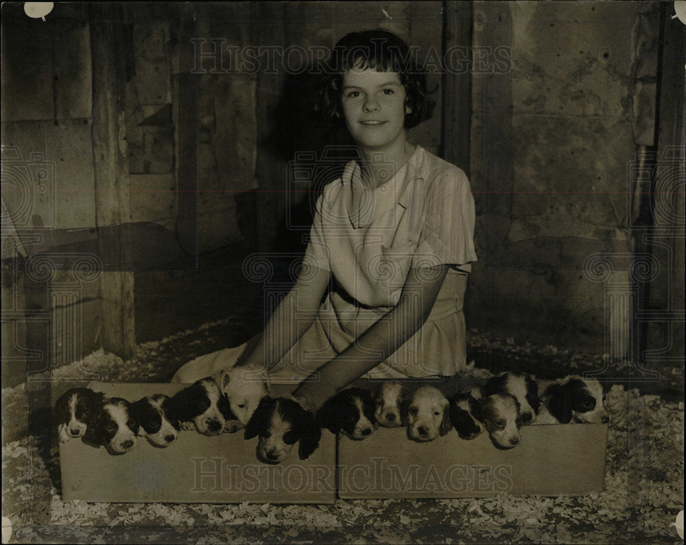 1936 Press Photo Lucky Thirteen Denver Puppies Olivia - Historic Images