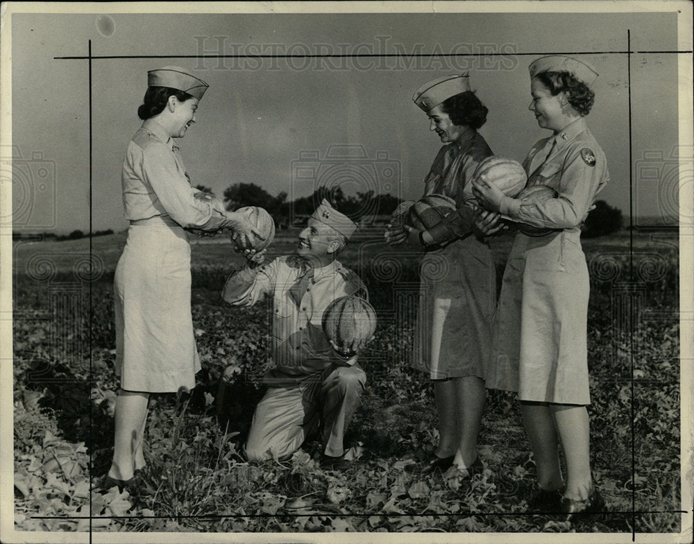 1943 Press Photo Fort Logan Farm Picking Cantaloupes - Historic Images