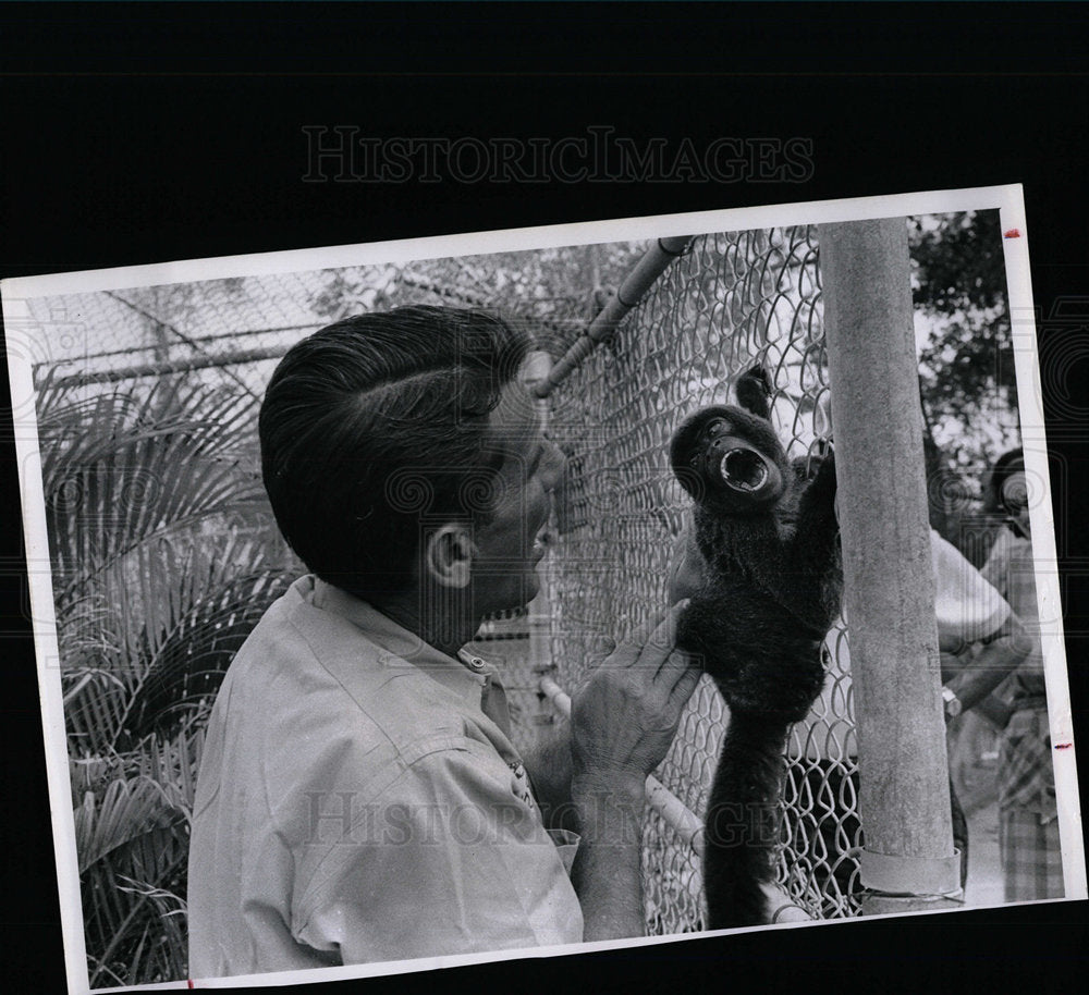 1966 Press Photo Zoo Monkey Trained To Climb - Historic Images