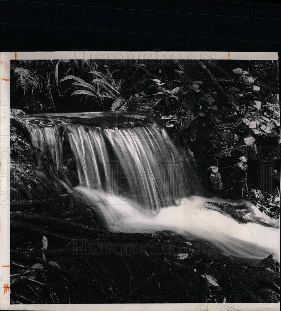 1965 Press Photo White Water Gnarled Roots Rainbow - Historic Images