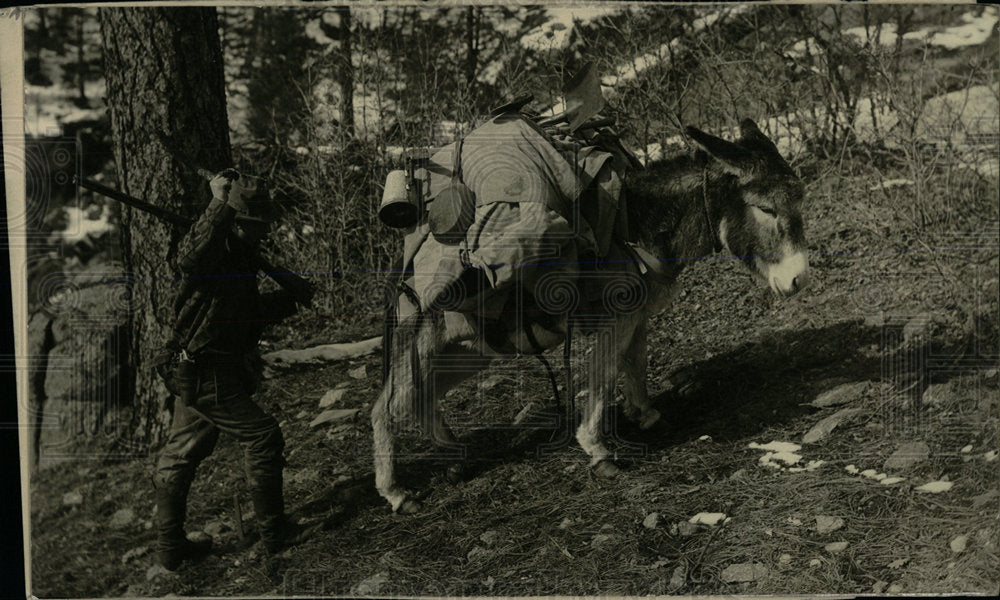 1934 Press Photo Donkey Burro - Historic Images